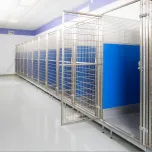 Mason Above the Floor Ultrabase Dog Kennel