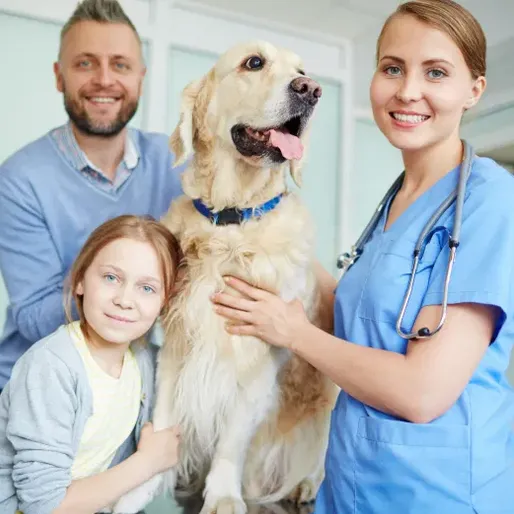 Helping Vets enjoy more happiness and fulfilment in their career