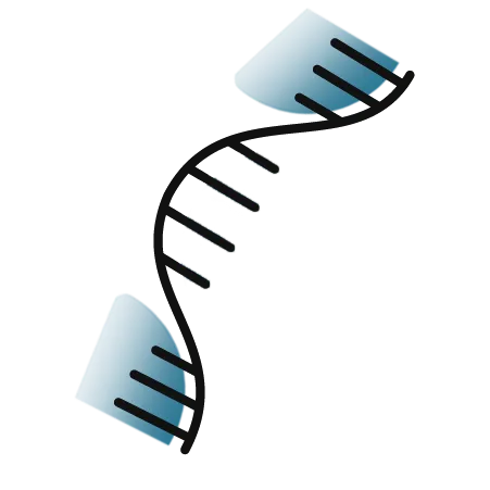 The BioXp mRNA synthesis kit