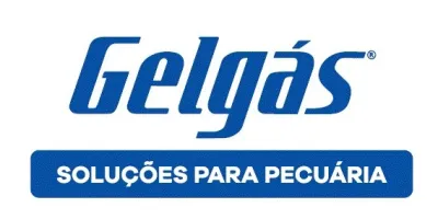 Gelgas