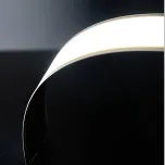 Custom OLED Solutions for Automotive Lighting