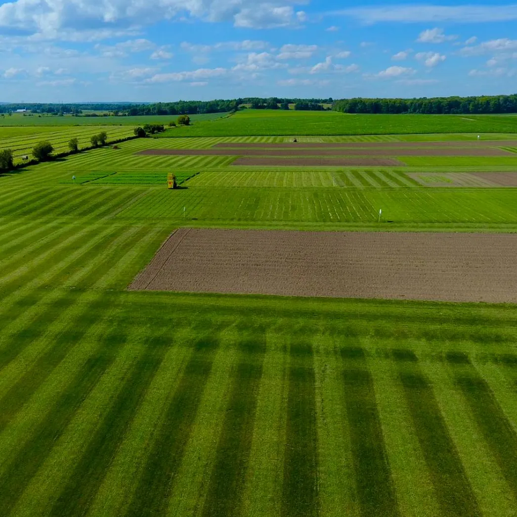 DLF Research Program