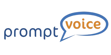 PromptVoice