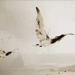 MYRIAD. Where we connect.