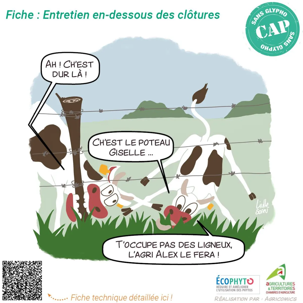 Réalisation de bandes dessinées sur mesure (illustrations, stripcomics - 3 cases, planches)