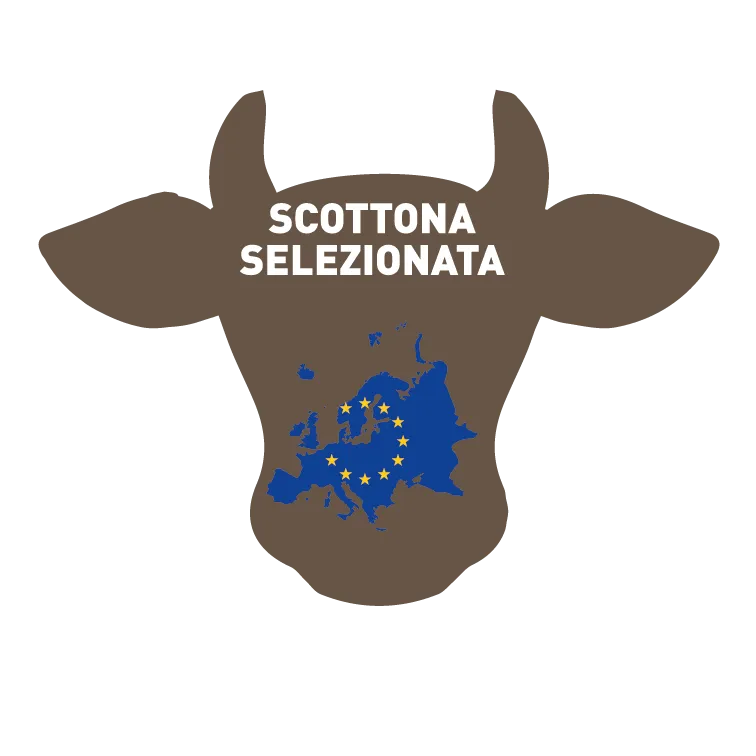 HEIFER BURGER SELECTED