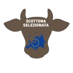 HEIFER BURGER SELECTED