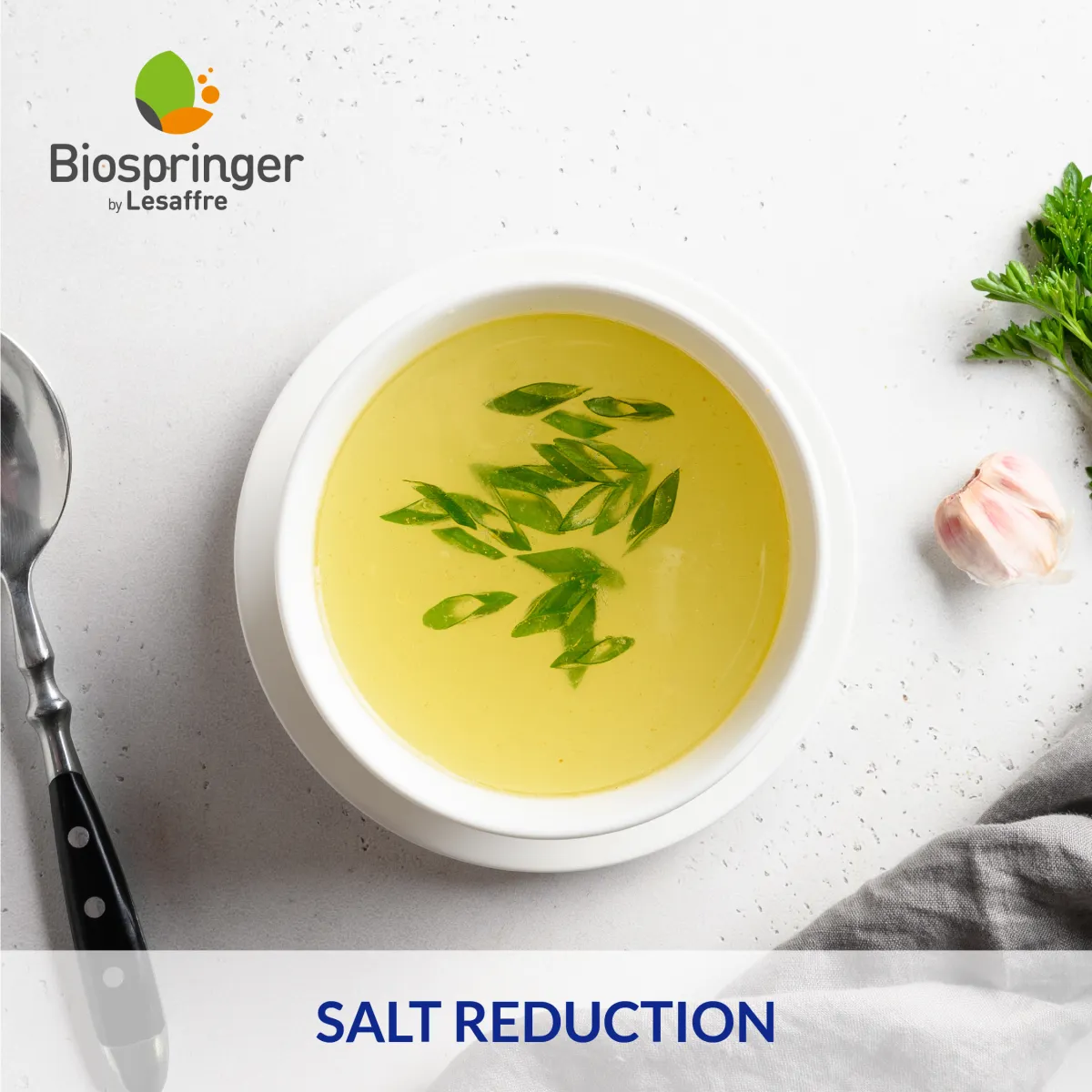 Springer® Umami AA Yeast Extract | Biospringer