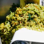 Upcycled Superfood Ingredient WellVine™ Pressed Chardonnay Grapes Offers Healthful, Flavorful Benefits and is Lower in Sugar