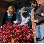 Associate Diploma Programs