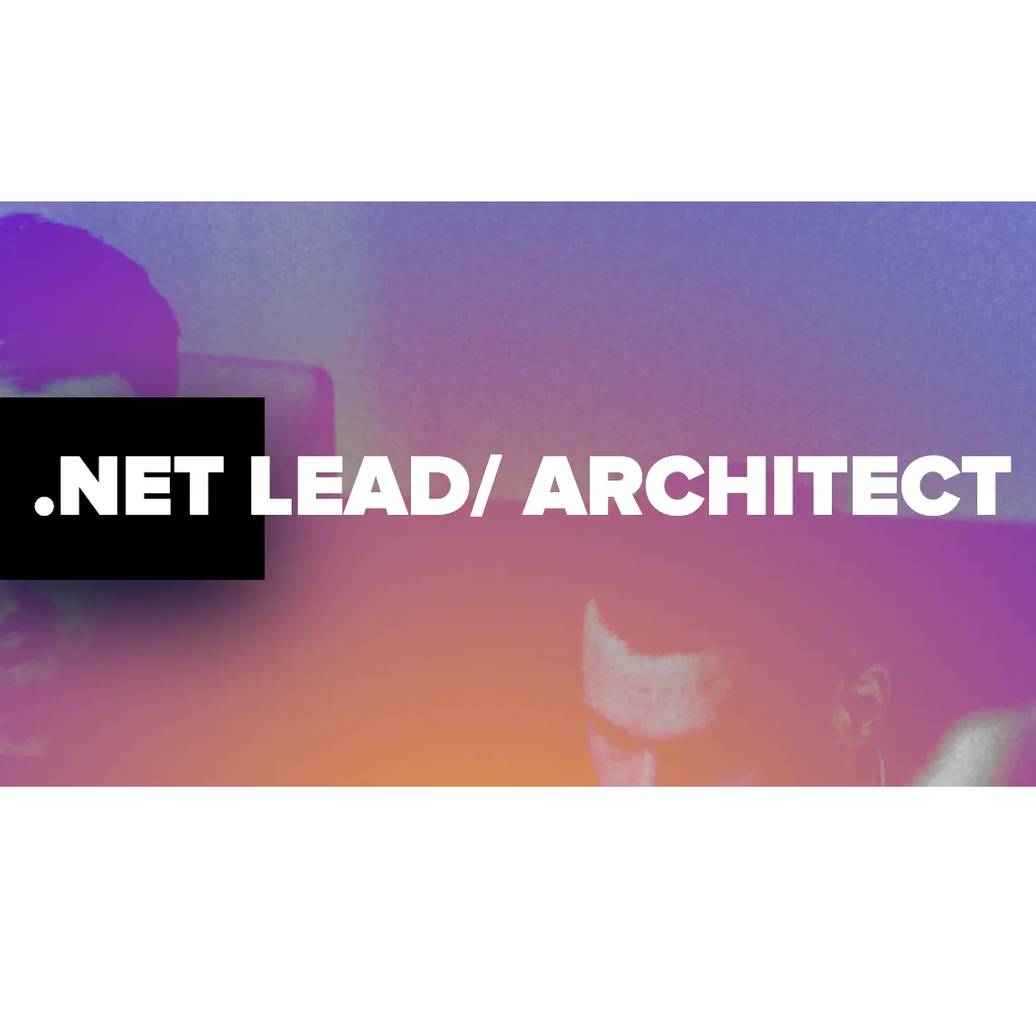 .NET LEAD/ ARCHITECT