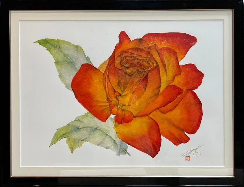 An Indication of A Bright Future<An Orange Rose> / Yuji Kato