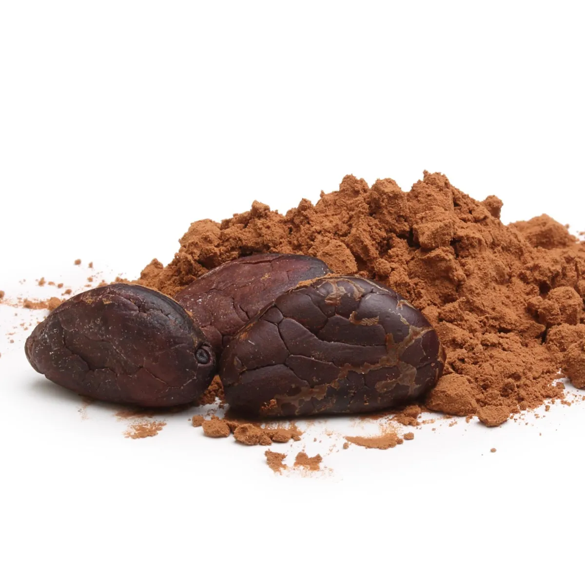 CocoaNol® - Cocoa Flavanols Powder