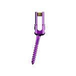 Spine
