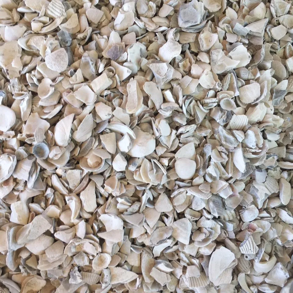 Oyster Shell Calcium Carbonate
