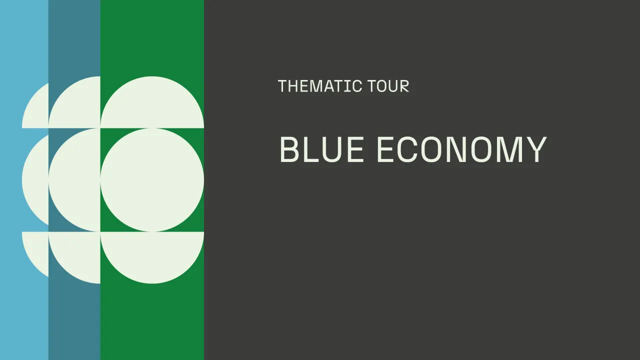Thematic tour: Blue Economy (in english)