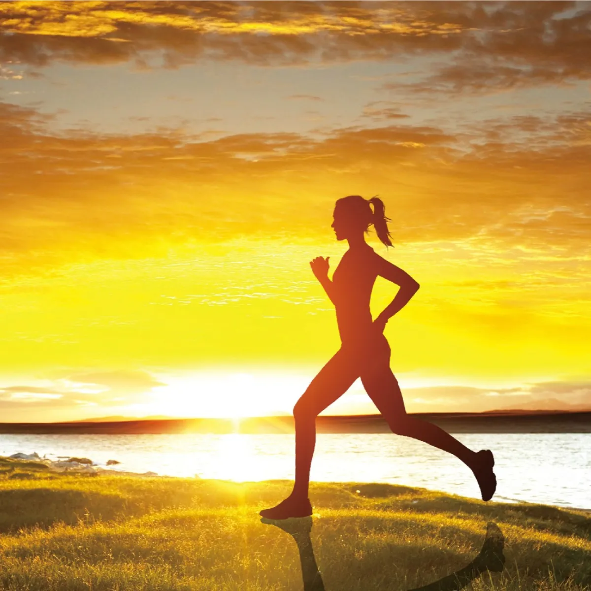 Biovivid™ Collagen Peptide