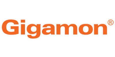 Gigamon