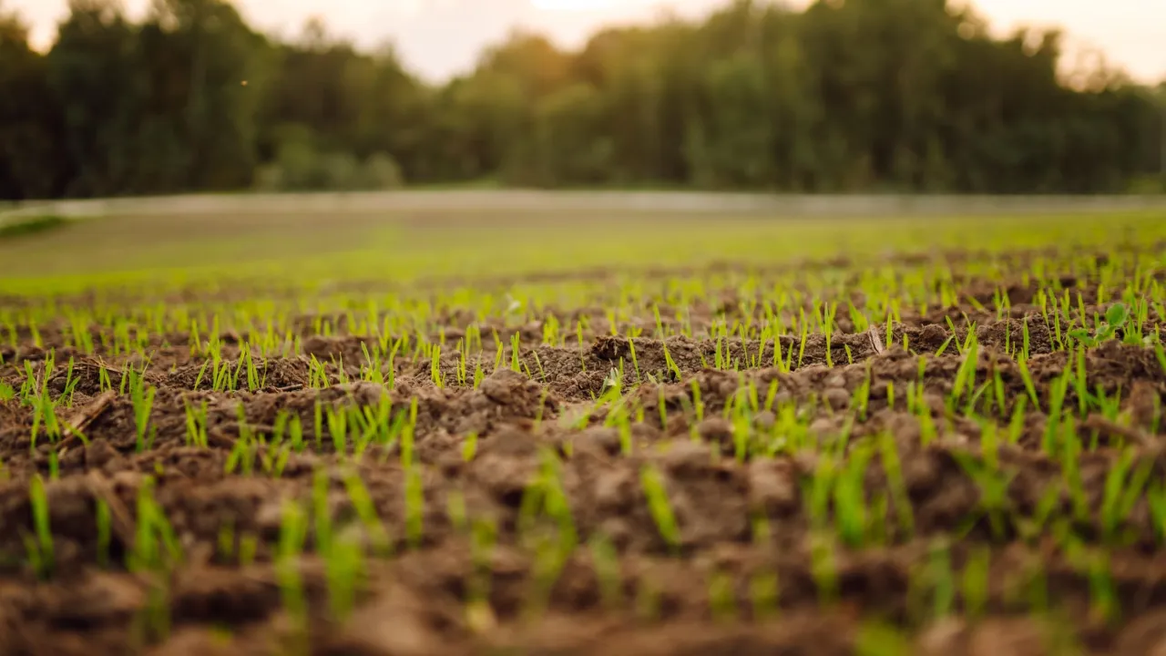 Les Racines du futur : Climat : Cultiver la Résilience
