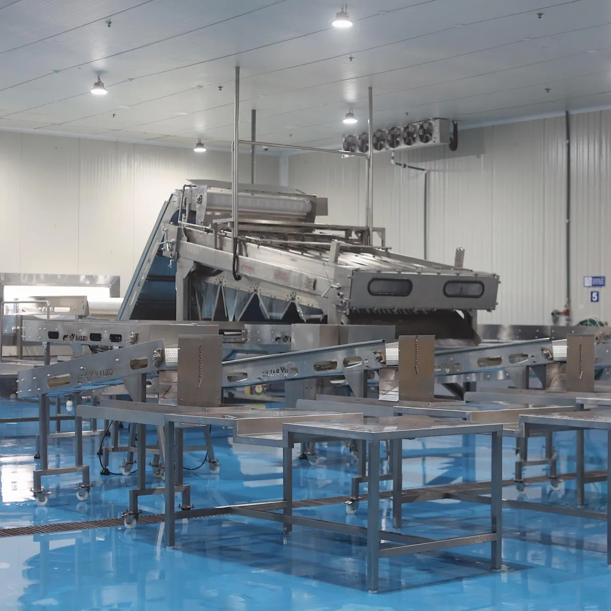 SHRIMP CLASSIFYING MACHINE