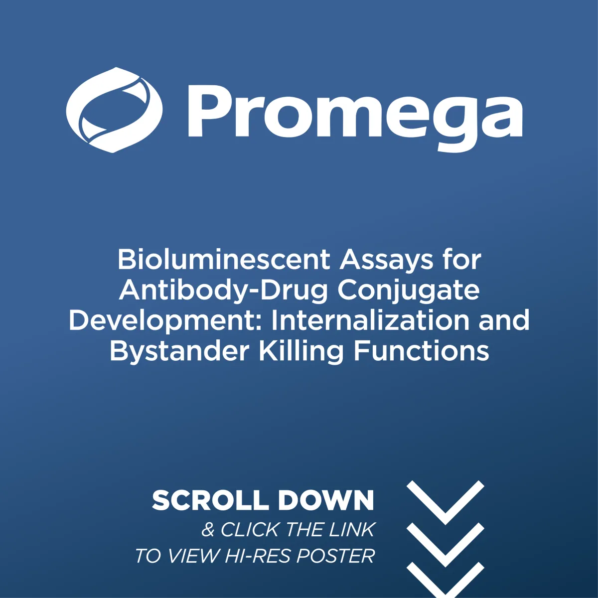 Bioluminescent Assays for Antibody-Drug Conjugate Development: Internalization and Bystander Killing Functions