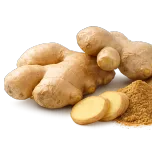 Zinoact™ - Scientifically proven Steamed Ginger extract