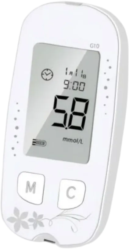 Blood glucose meter
