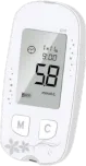Blood glucose meter