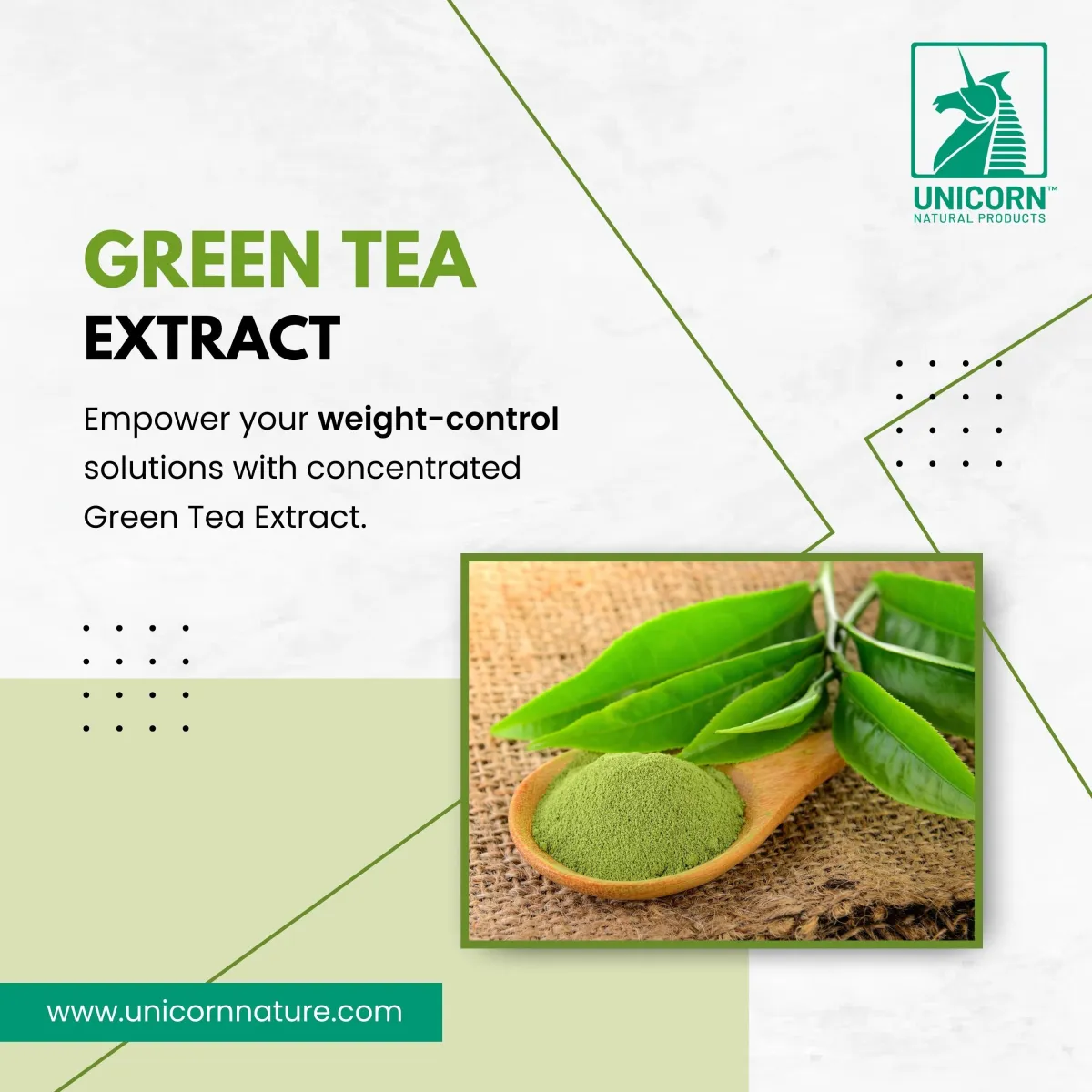 Green Tea Extract