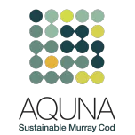 Murray Cod (Maccullochella peelii)