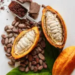 Alternative au cacao / chocolat