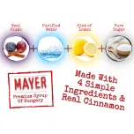 Mayer Premium Cinnamon Plum Syrup / Cordial
