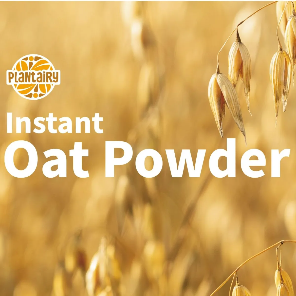 Plantairy™ Gluten-free Instant Oat Powder