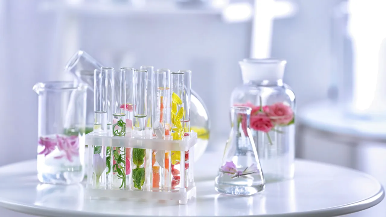 Updates from the IFRA 52nd Amendment