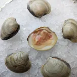 Hardshell, Steamers, Manila's, and more!