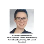 Reflective Practice - Live 1 July 2024 with Virginia Spielmann