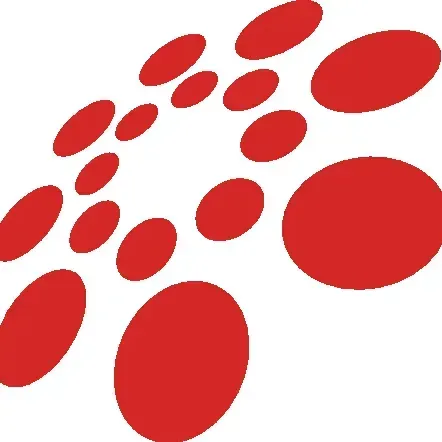 TourOperator B2B - https://www.absolute.it/touroperator-b2b/