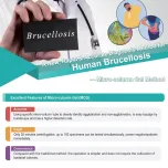 Brucella Diagnosis