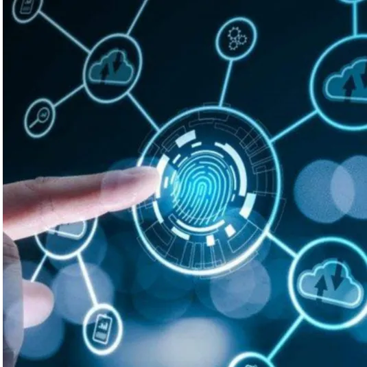 Identity & Access Management (IAM) | Secure & Compliant Access