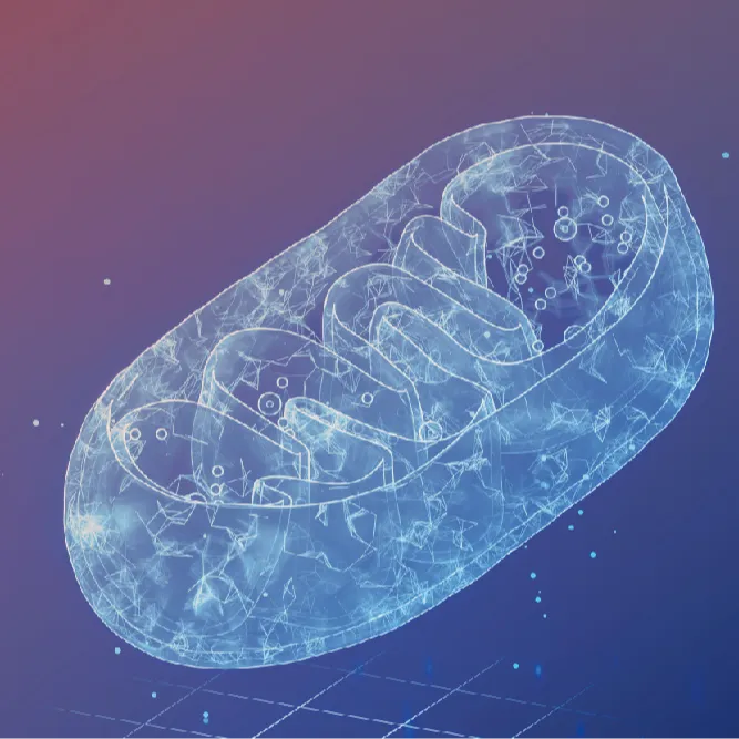 MitoPQQ™ Pyrroloquinoline Quinone Disodium(PQQ)Salt