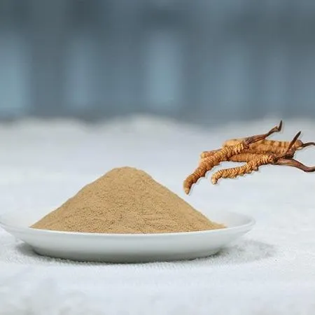 Organic Cordyceps sinensis mycelium extract 6:1