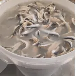 Arbacommerce Croatia