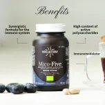 Mico Five (Chaga, Reishi, Maitake, Shiitake, Sun mushroom) Capsules