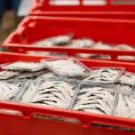 Arbacommerce Croatia