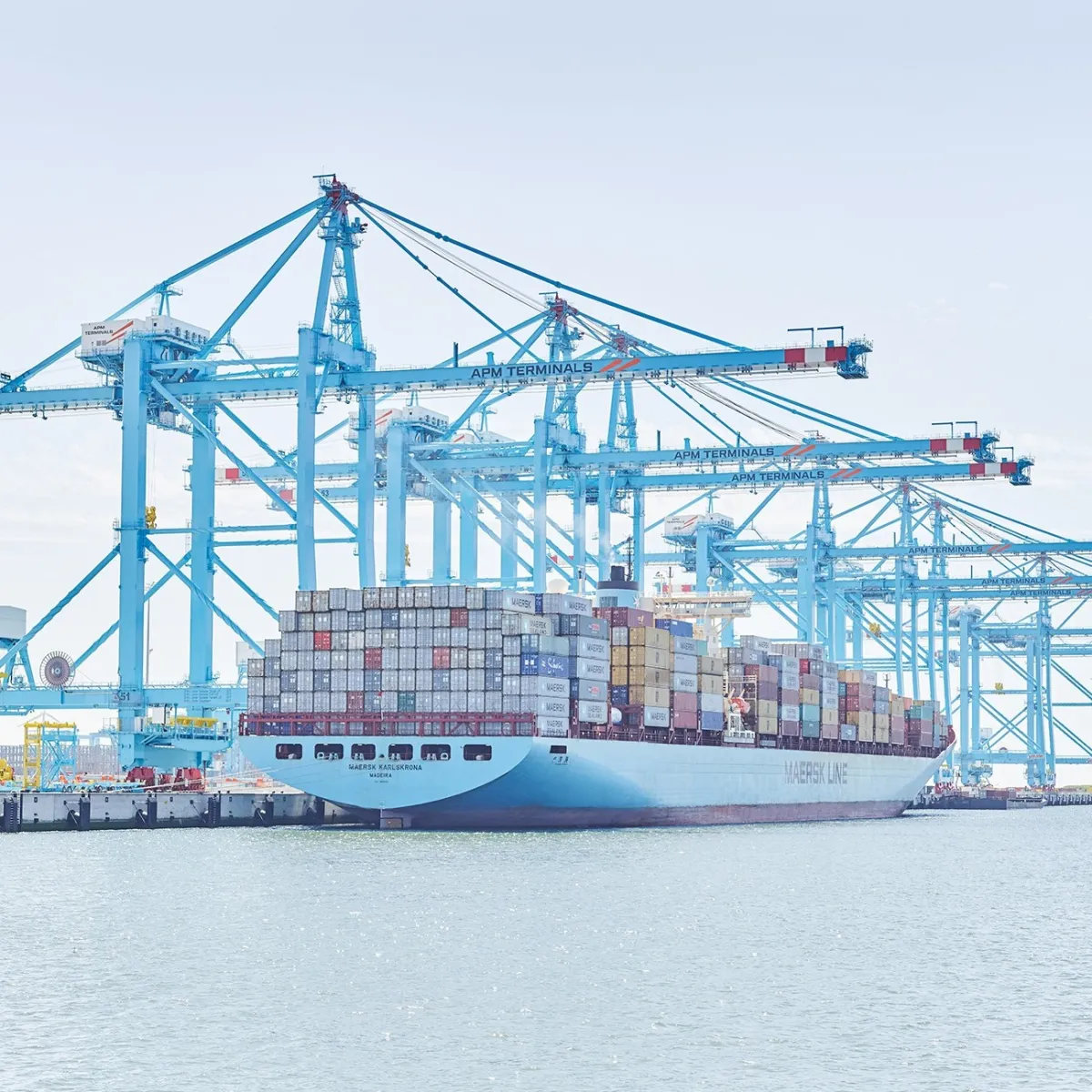 STS crane automation