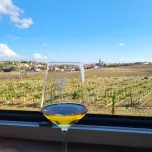 Bajo Velo, Rueda, Verdejo