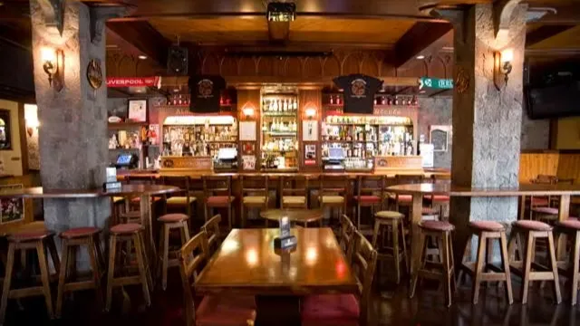 NFL Playoffs Watch Party
