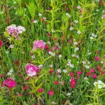 Tapis & Carrés prêts à l'emploi