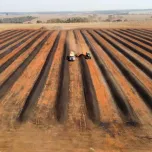 Consultoria em Agricultura Tropical Regenerativa