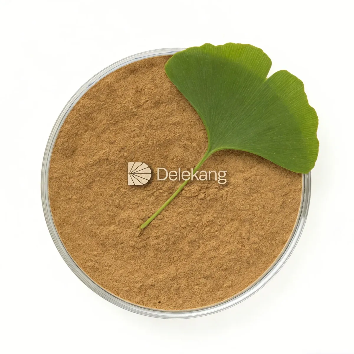Ginkgo Biloba Extract